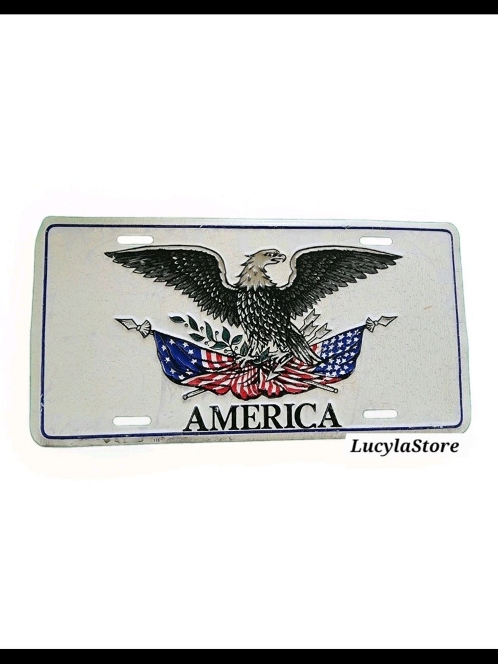 1970’s AMERICAN EAGLE GRAPHIC SOUVENIR BOOSTER  Wall Decor / Plaque